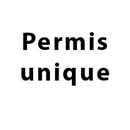 Permis unique