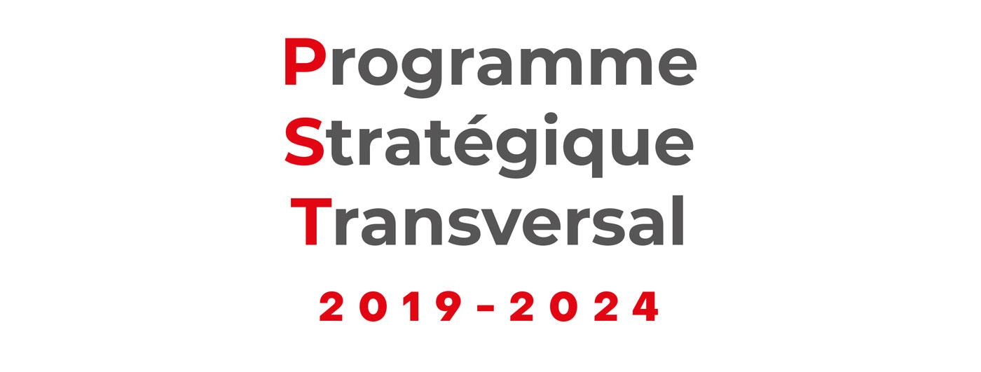 Programme Stratégique Transversal (P.S.T.)