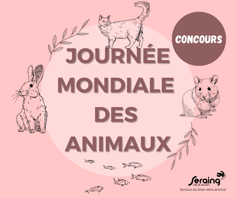 Concours: photographiez votre animal et tentez de remporter un bon de 100€!