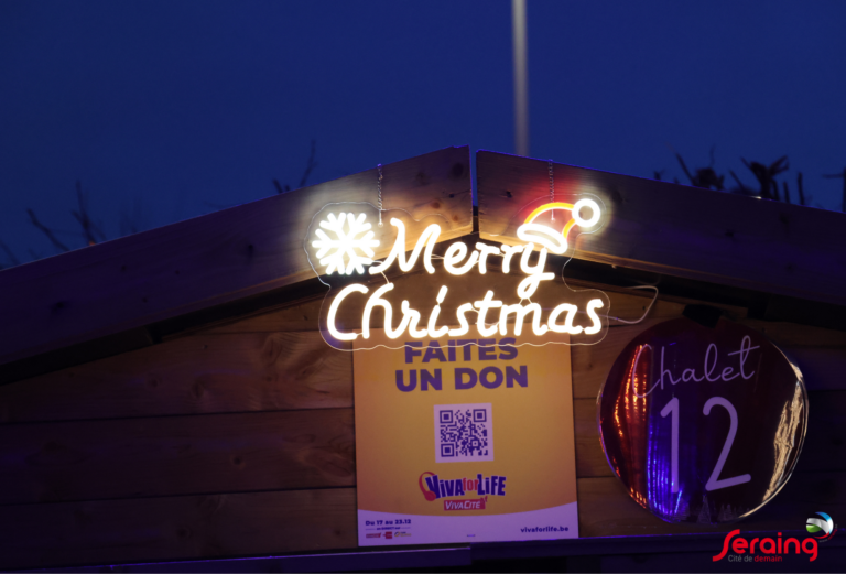 Appel aux exposants : participez au marché de Noël aux couleurs de Viva For Life