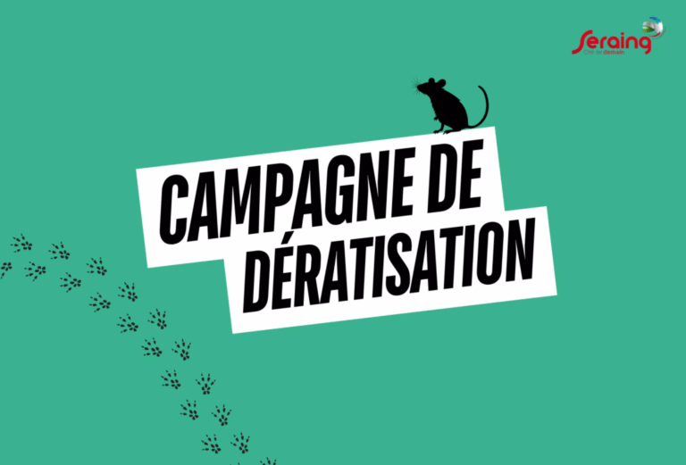 Deuxième campagne de dératisation pour 2025: elle se déroulera du 8 au 19 septembre