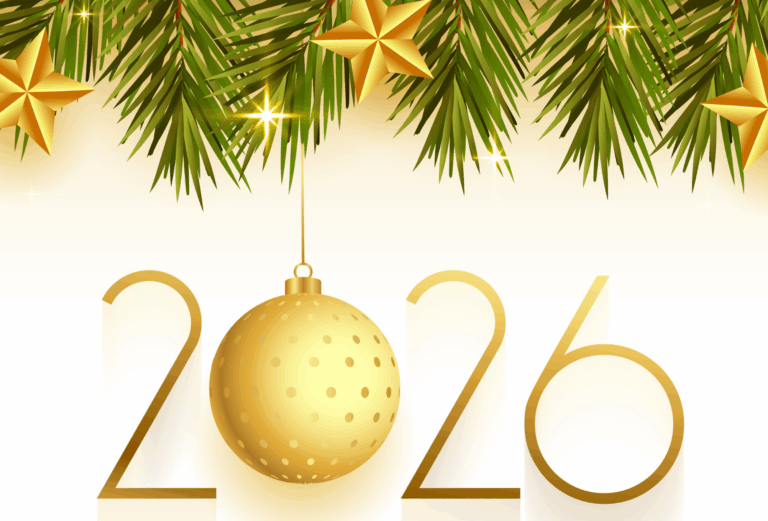 Bonne année 2026 !