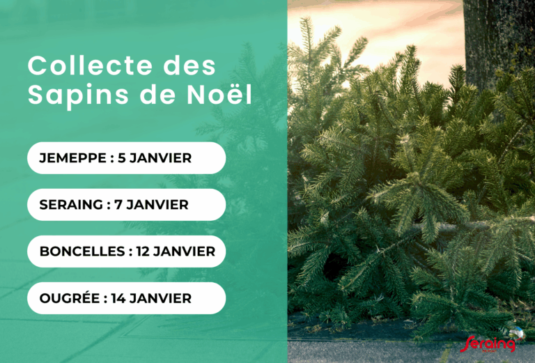 Collecte de sapins de Noël 2026