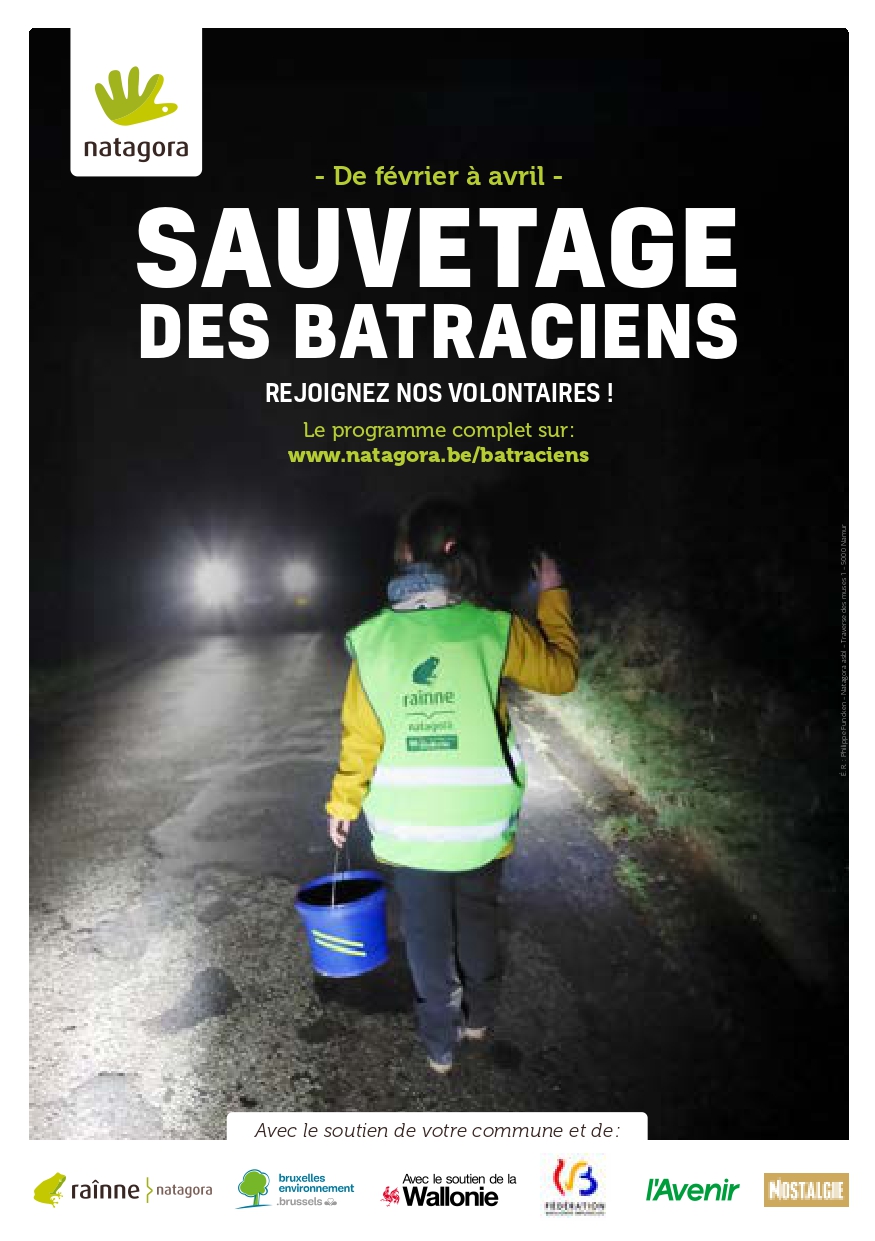 Migration des batraciens: levez le pied près de la mare aux Joncs !