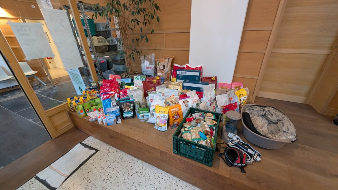 Deuxième collecte de dons pour animaux: près de 170 kg de nourriture récoltés