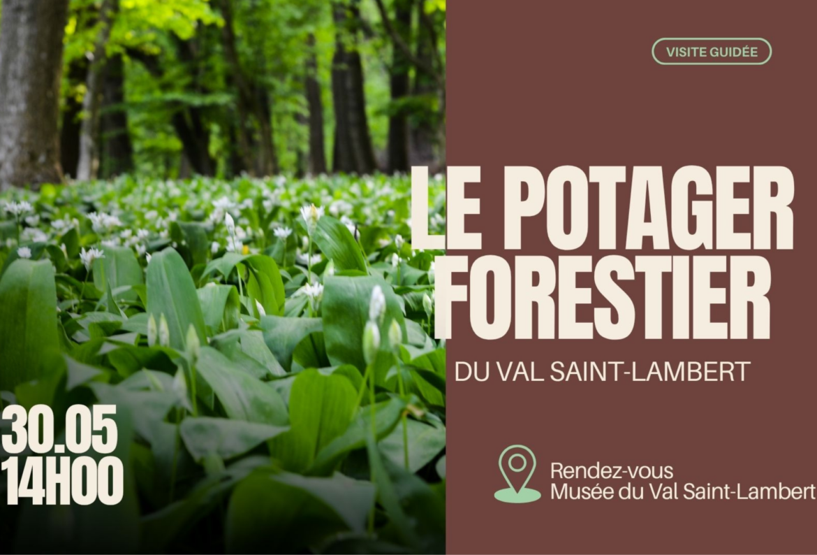 Découvrez le potager forestier du Val Saint-Lambert