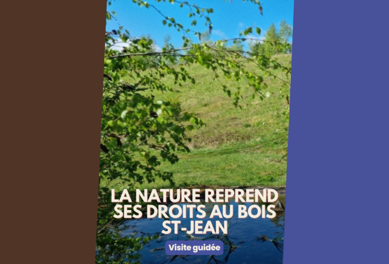 Participez à une balade au Bois St-Jean à la découverte de la nature des lieux