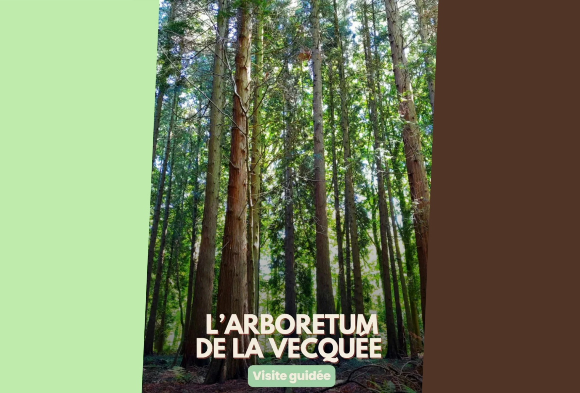 L’arboretum de la Vecquée vous ouvre ses portes !