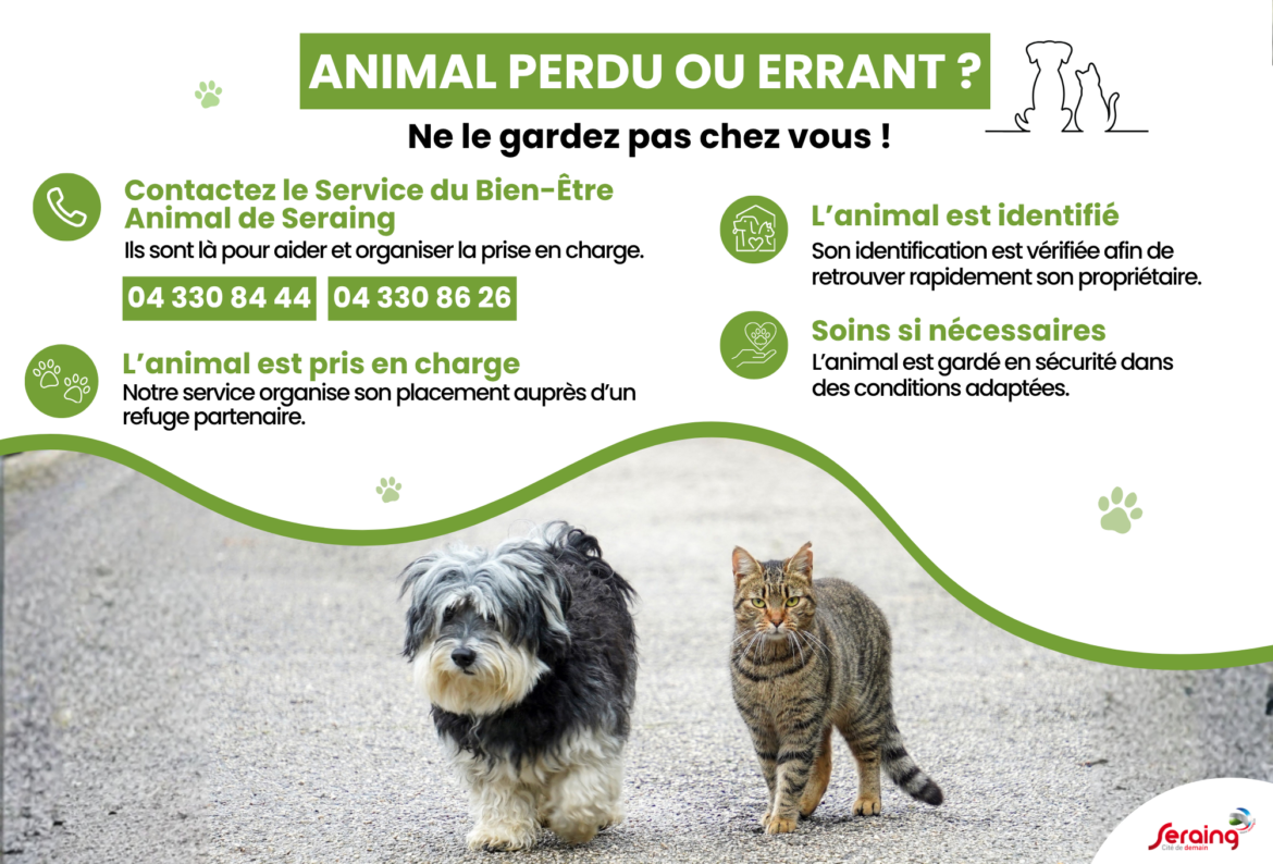 Animal perdu ou errant à Seraing : prévenez-nous !